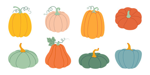 Pumpkin set. Pumpkin and squash different colors and sizes. Hand drawn trendy flat style isolated on transparent background. Thanksgiving, farm harvest. Vector illustration