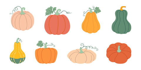 Pumpkin set. Pumpkin and squash different colors and sizes. Hand drawn trendy flat style isolated on transparent background. Thanksgiving, farm harvest. Vector illustration