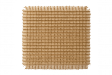 Corduroy fabric swatch showing ribbed textile texture with woven pattern and fringe details, transparent background