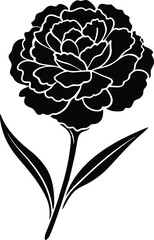 Close up macro shot of vibrant butterfly wings showing intricate patterns and textures detailed natural beauty isolated on transparent background © Cristmas