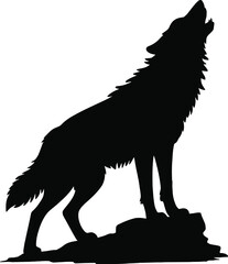 A howling wolf stands powerfully on a rock black silhouette on transparent background