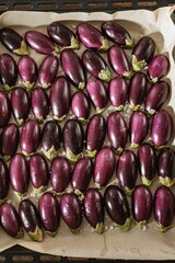 Rows of petite purple eggplants sit on parchment paper on a baking sheet. Coarse salt is sprinkled around them, preparing them for roasting in the oven