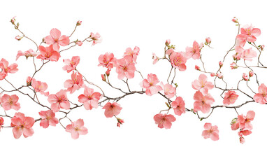 Naklejka premium Soft floral scene featuring blooming cherry blossoms representing peace, nature, and fleeting beauty isolated on transparent background PNG