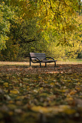 Jesienna sceneria w parku z drewnianą ławeczką pośród żółtych i pomarańczowych liści. Kolorowe drzewa tworzą ciepły, nostalgiczny nastrój. 