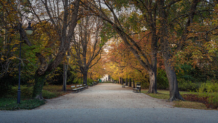 Autumn alley in Ujazdowski Park, Warsaw, Poland