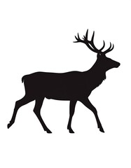 Obraz premium Silhouette of a walking elk