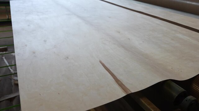 Thin veneer wood sheets sliding along a conveyor belt during plywood production at a woodworking facility, showcasing material handling automation.
