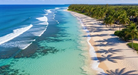 Aerial view of a stunning tropical beach with turquoise water, white sand, and palm trees.