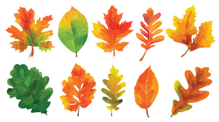 Fototapeta premium Vibrant Autumn Leaves Set with Specified Variety for Creative Projects