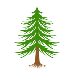 Vibrant green evergreen tree standing tall lush foliage natural forest element