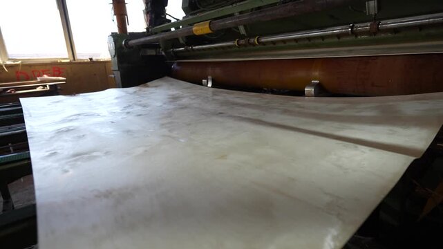 A close-up view of a veneer sheet being processed by an industrial woodworking machine in a factory setting during plywood manufacturing.
