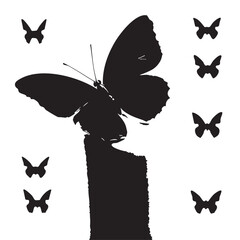 Butterfly Silhouette Vector — Black and White Minimalist Illustration of Large Butterfly with Symmetrical Surrounding Figures