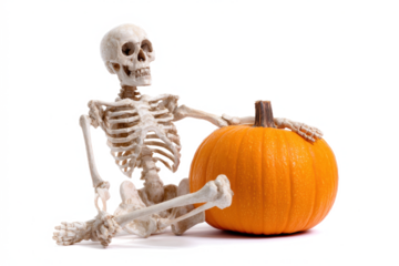 Skeleton sitting with a pumpkin Halloween concept isolated on white background
