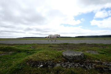 Davidstow world war 2 airfield cornwall uk 