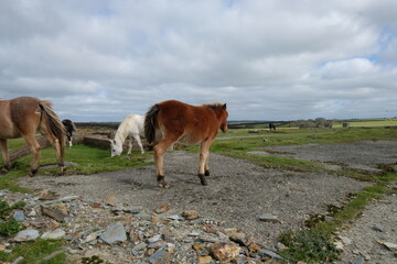 Davidstow world war 2 airfield cornwall uk 