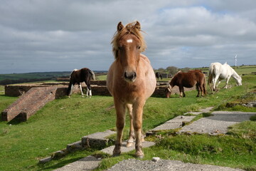 Davidstow world war 2 airfield cornwall uk 