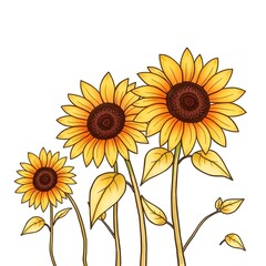 Fototapeta premium sunflower isolated on white