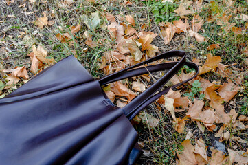 brown leather handbag lying on the ground covered with dry autumn leaves, symbolizing seasonal fashion, simplicity, and everyday lifestyle moments