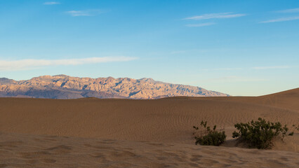 Rippled Sand Dunes with Creosote Bushes and Distant Mountains at Golden Hour, Mesquite Flat Sand Dunes, Death Valley National Park