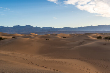 Footprint Tracks Across Sand Dunes with Creosote and Distant Mountains, Mesquite Flat Sand Dunes, Death Valley National Park