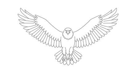 Detailed line art illustration of a majestic eagle in flight pose © Md