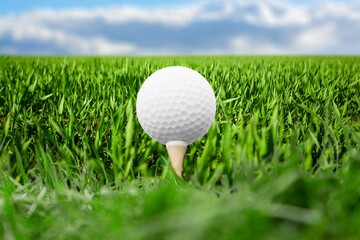 Golf white Ball on fresh green grass