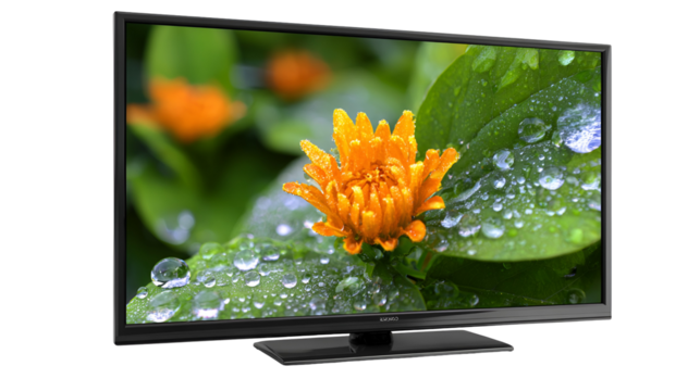 Modern flat screen television displaying a close up of an orange flower with water droplets isolated on transparent background - Powered by Adobe