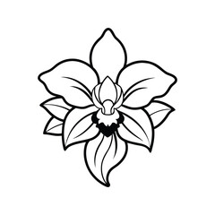 Tropical orchid cluster with curling stems detailed black outline vector art illustration