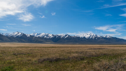 Snow-dusted Nevada mountains with dry grasses in foreground under sunny sky with wispy clouds, photographed in spring