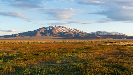 Nevada mountain landscape with desert grasses and shrubs under pale blue sky with wispy clouds, bathed in warm light