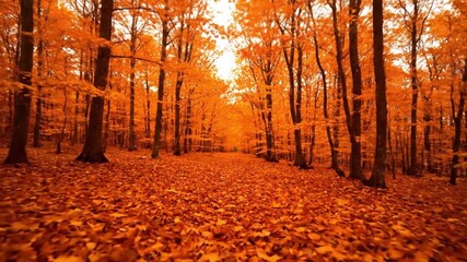 Pathway through an autumn forest with orange leaves covering the ground - Powered by Adobe