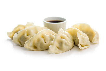 Traditional japanese gyoza dumplings and soy sauce isolated on white background.