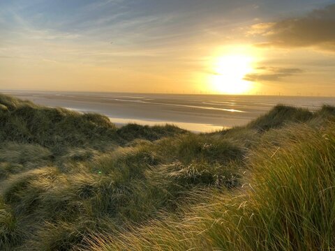 Sunset over long grass by the ocean