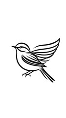 Obraz premium Simple line art drawing of a bird in flight