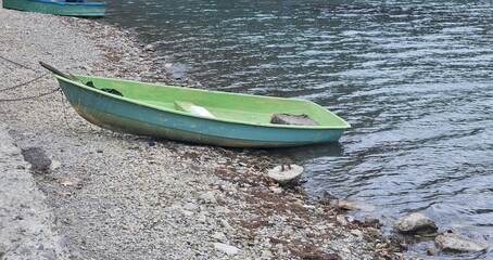 A weathered, wooden boat with a rusted hull sits abandoned in shallow water, partially submerged on a muddy shore.