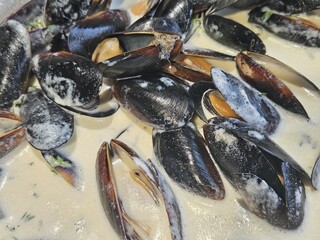 Steamed mussels in white wine sauce