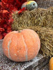 pumpkin and pumpkins