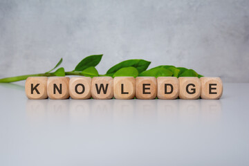 Wooden blocks spelling KNOWLEDGE on gray background with green leaves