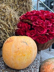 red and yellow roses