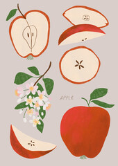 Autumn illustrations with apple fruit elements