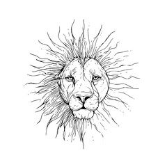Lion head illustration drawing sketch vector art black and white animal wildlife feline predator mane king africa 100