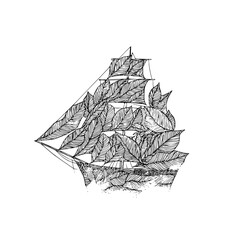 Leaf ship sailing drawing black and white art nature illustration nautical vessel fantasy boat creative design