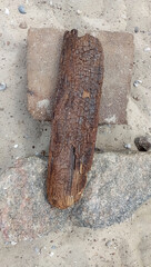 Driftwood resting on stones by the beach during a sunny day