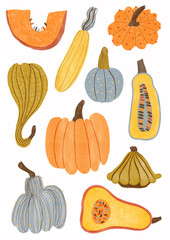 Autumn illustration set with different kind of pumpkins