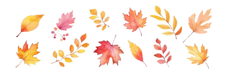 Set of watercolor leaves. suitable for design of stickers, labels, cards. Vector