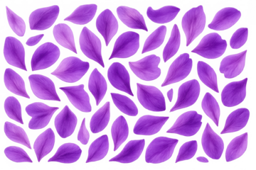 Purple flower petals falling, creating floral background, vibrant violet elements scattering, romantic decorative texture