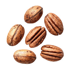 Pecan nuts isolated ontransparent background close up nutritious food photography