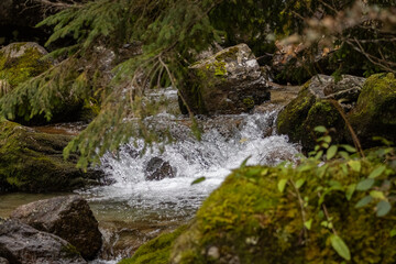 Kleiner Bachlauf in den Alpen 