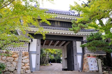 Fototapeta premium 田原城 桜門