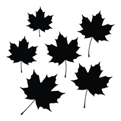 Floating maple leaves create a striking black shape silhouette